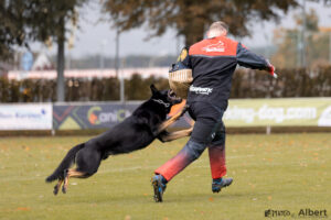 Banzai - Picture by Albert Griep Svensson