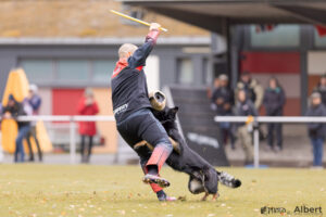 Banzai - Picture by Albert Griep Svensson