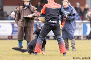 Banzai - Picture by Albert Griep Svensson