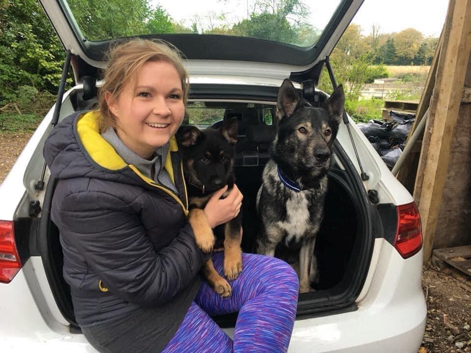 Dog Training Somerset - Our Head Trainer picking up a dog for residential training