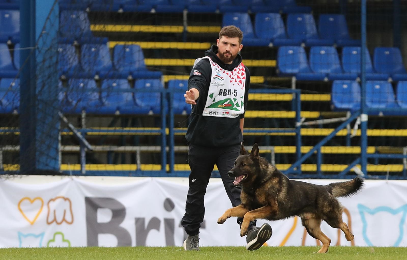 Dog Training Devon - Meet Aidan Jackson