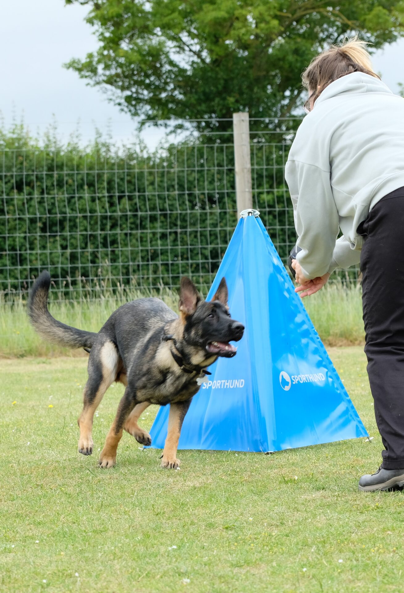 Group Training Classes
