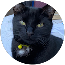 maskellk profile picture